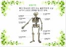 골절환자의 간호  정형외과 컨퍼런스  OS환자 간호 4페이지