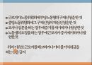 부당노동행위미국의 부당노동행위단체교섭거부일본 부당노동행위부당노동행위 유형부당노동행위의 구제구제명령의 종류 19페이지
