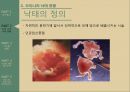 낙태 현황우리나라 낙태법낙태의 정의인공임신중절낙태 시술 7페이지