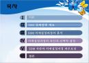 SSM 규제 정책SSM이란SSM의 국내현황사업관련 규제 현황SSM의 의제설정제임스 윌슨 규제정책 모형 2페이지