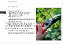 서양사상과 역사인식에드먼드 버크근대 보수주의의 원조버크의 생애와 사상프랑스혁명버크의 보수주의버크의 생애 24페이지