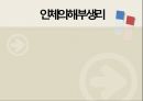 인체의 해부생리해부학생명유지세포의 기능생리학세포의 구조인체조직의 구성 1페이지