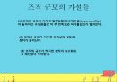 조직규모의 정의조직규모규모 결정론애스턴 그룹조직규모결정론의 비판 30페이지