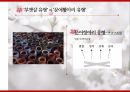 일본의 사상마루야마 마사오부챗살 유형문어항아리 유형무구조의 사상적 전통일본문화의 잡거성 23페이지