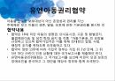 국제법과 사회복지법사회복지 조례국제법의 효력국제인권규약유엔아동권리협약국제노동기구 ILO조례의 기능 5페이지