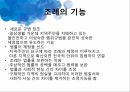국제법과 사회복지법사회복지 조례국제법의 효력국제인권규약유엔아동권리협약국제노동기구 ILO조례의 기능 14페이지