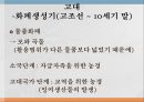 돈의 사회사화폐란돈의 범주화폐의 변천사고려 화폐유통화폐경제 성장발전기화폐개혁IMF 7페이지