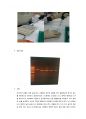 Plasmid Prep(Rapid alkine extraction) 실험 보고서 4페이지