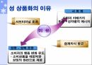 광고 속 성 상품화 22페이지