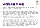 디지털 캐릭터 조사분석뿌까 21페이지