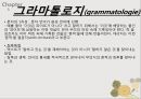 해체주의해체주의의 개념해체주의의 예시구조주의데리다의 해체주의로고스 중심주의파르마콘그라마톨로지 16페이지