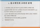 고려와 원몽고제국고려의 관계원과 고려 5페이지