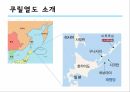 동아시아 영토분쟁쿠릴열도쿠릴열도 역사와 분쟁원인쿠릴열도 영토분쟁독도문제 4페이지