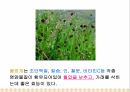 고혈압 교육자료 15페이지