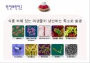 식중독예방교육자료 9페이지