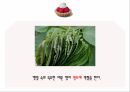 식중독예방교육자료 22페이지