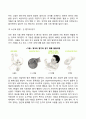 신생아기 및 영아기 발달 특징 19페이지