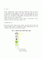 신생아기 및 영아기 발달 특징 23페이지