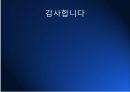 북아일랜드 분쟁피의 일요일 사건벨파스트 14페이지