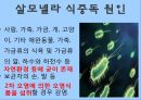 살모넬라 식중독식중독의 정의식중독이란식중독의 종류식중독 원인 4페이지