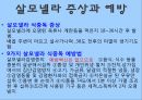 살모넬라 식중독식중독의 정의식중독이란식중독의 종류식중독 원인 5페이지