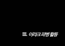 이라크 전쟁이라크 파병이라크 파병 활동파병의 한계점이라크 전쟁 배경 21페이지