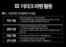 이라크 전쟁이라크 파병이라크 파병 활동파병의 한계점이라크 전쟁 배경 22페이지