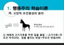 학습이론행동주의 학습이론인지적 학습이론정보처리이론파블로프(Pavlov)의 개 실험 6페이지