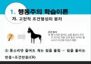 학습이론행동주의 학습이론인지적 학습이론정보처리이론파블로프(Pavlov)의 개 실험 8페이지