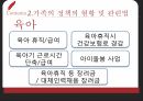 맞벌이 가족정책맞벌이 실태가족정책 혜택맞벌이 가족정책 10페이지