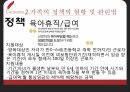 맞벌이 가족정책맞벌이 실태가족정책 혜택맞벌이 가족정책 11페이지