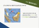 동아시아 금융위기아시아통화기금(AMF)IMF 구제금융 11페이지