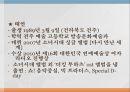 소녀시대마케팅소녀시대란소녀시대 한류마케팅 4페이지