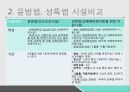 성매매 여성윤방법 성특법윤락행위 등 방지법성매매특별법 5페이지
