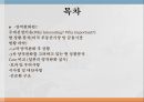 양적완화란미국 부동산시장금융시장일본의 양적완화 실시선순환 구조 2페이지