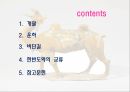 운하와 비단길운하비단길한반도와의 교류 2페이지