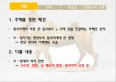 운하와 비단길운하비단길한반도와의 교류 3페이지