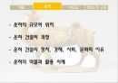운하와 비단길운하비단길한반도와의 교류 5페이지