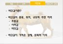 운하와 비단길운하비단길한반도와의 교류 7페이지