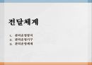 의료보장의 개념건강보험의 의의건강보험의 유형건강보험의 특징 23페이지