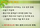 통신비 인하요금인가제이동통신산업의 특징블랙리스트 제도 11페이지