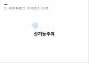 지역통합이론외교정책결정이론지역통합신기능주의정부간 협상론지역통합의 활성화 10페이지