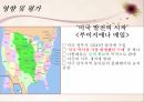 프랑스 대혁명나폴레옹나폴레옹의 전성기나폴레옹의 몰락 19페이지