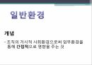 일반환경의 개념과 종류과업환경의 개념과 종류국내 금융기관이 직면한 일반환경국내 금융기관이 직면한 과업환경 3페이지
