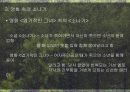 작가 황순원 의 이력작가 황순원 의 작품 성향소나기 의 구성영화 속의 소나기 9페이지