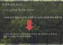 작가 황순원 의 이력작가 황순원 의 작품 성향소나기 의 구성영화 속의 소나기 11페이지