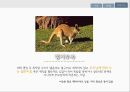 정년연장과 청년실업정년연장제도임금피크제 15페이지