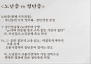 정년연장법다원주의엘리트주의계급주의임금피크제란 16페이지