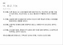 종교의 기능종교의 정의종교의 종류종교 역사한국 종교의 역사 15페이지