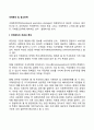 국제(글로벌)촉진 및 광고전략 2페이지